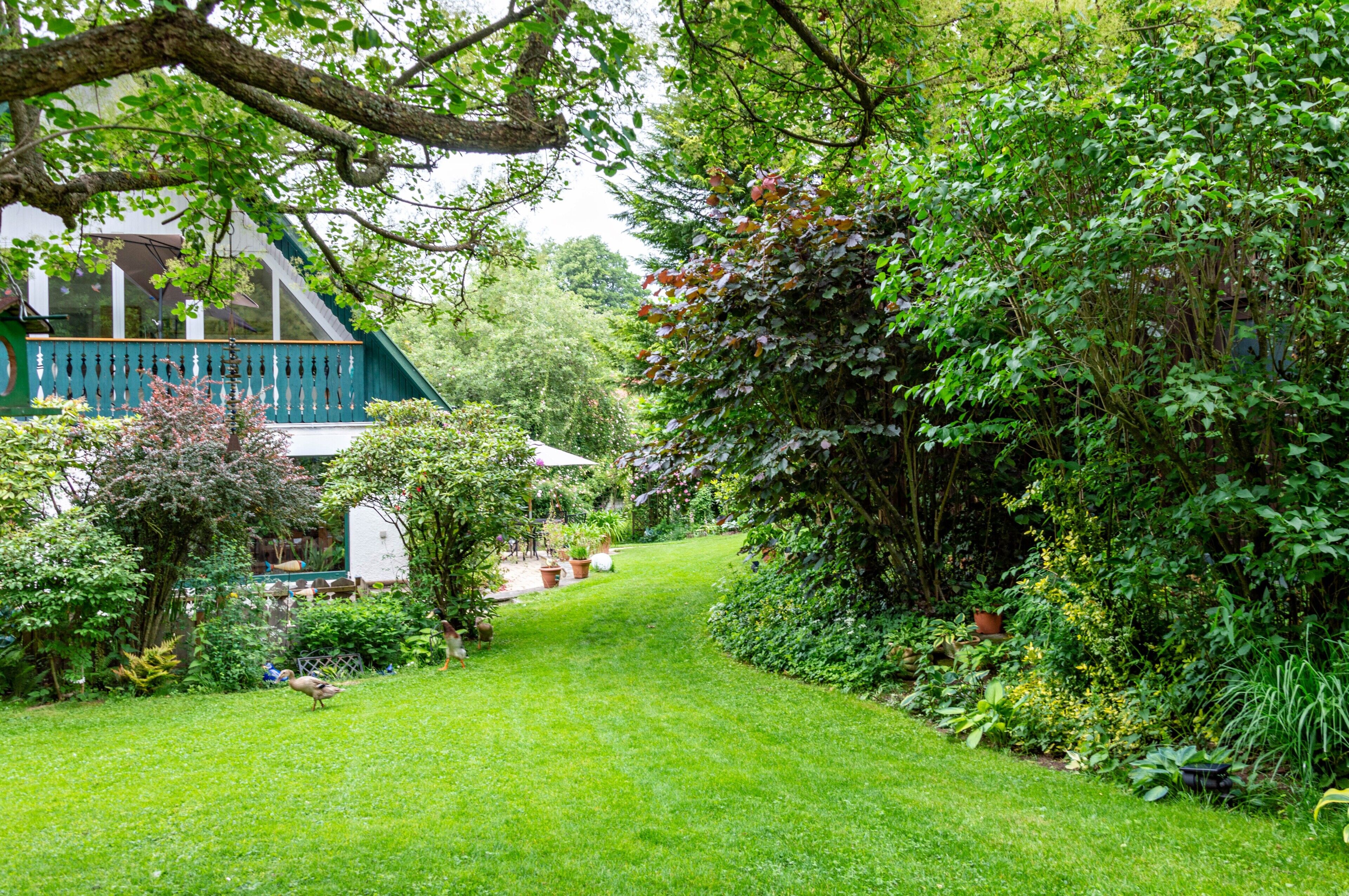 A lush garden with a house, a pathway, and various plants.