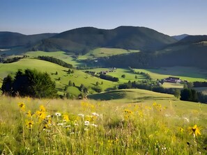 Miscellaneous - Apartment Abendsonne – Bright, Newly Renovated Retreat Perfect for Hiking Holidays (Bernau im Schwarzwald)