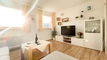 Fernseher, Stereoanlage