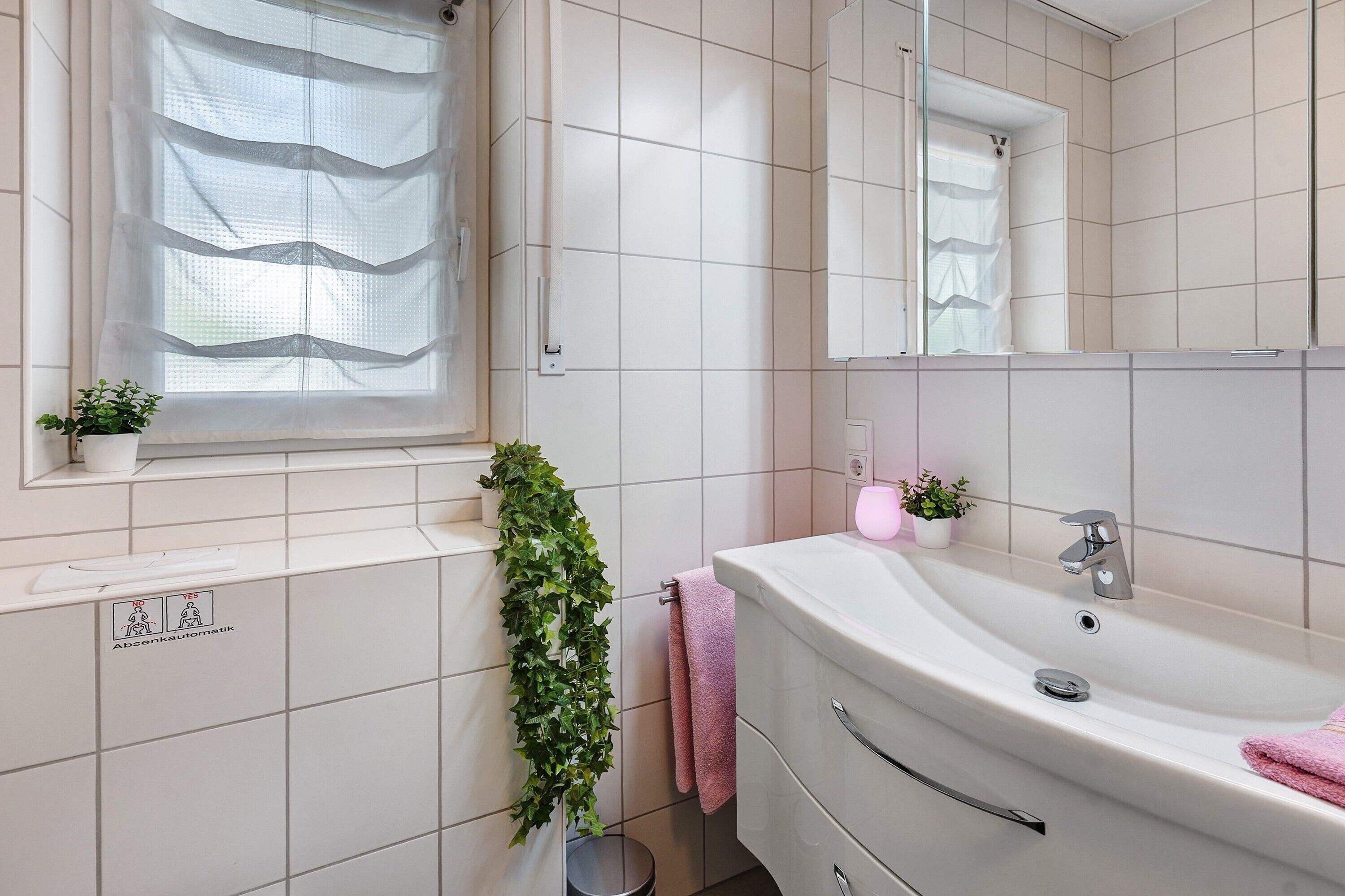 Un baño con una ventana grande, un lavamanos, un espejo y una planta en maceta.