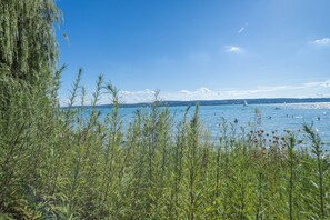 Uklassifisert bilde, 5 av 16, knapp