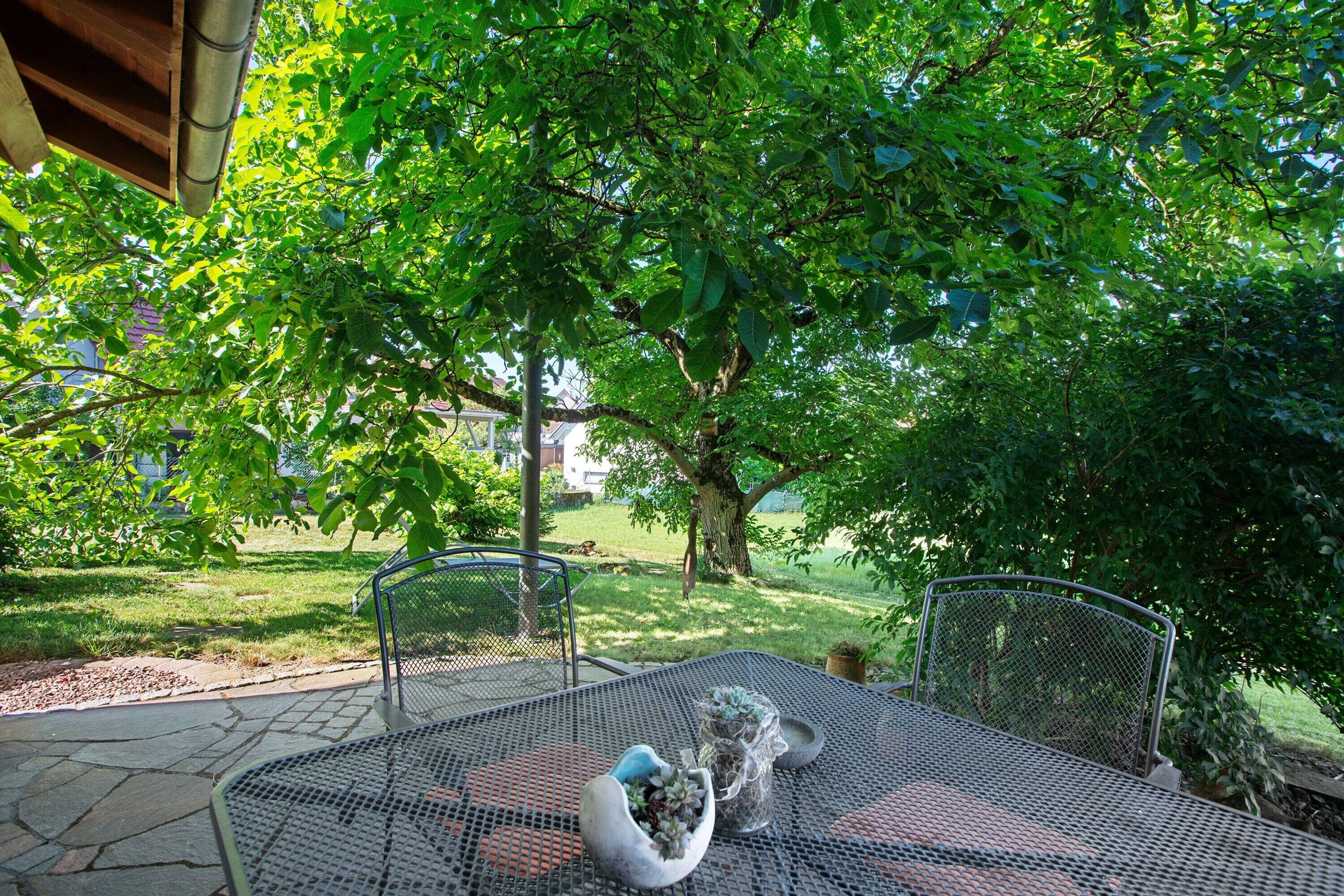 Un patio con una mesa y sillas de metal, rodeado de abundante vegetación y un gran árbol.