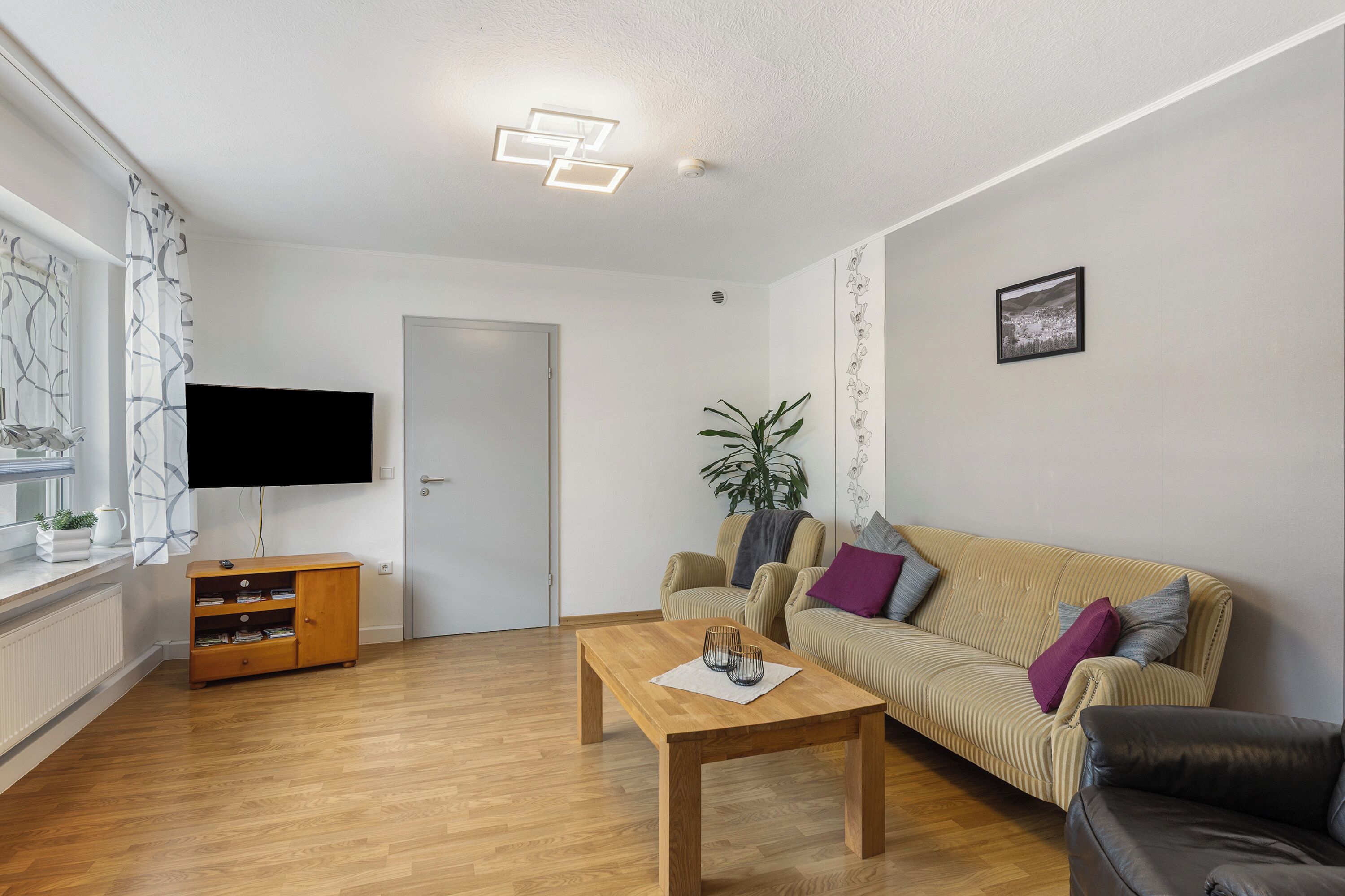 Fernseher, Stereoanlage