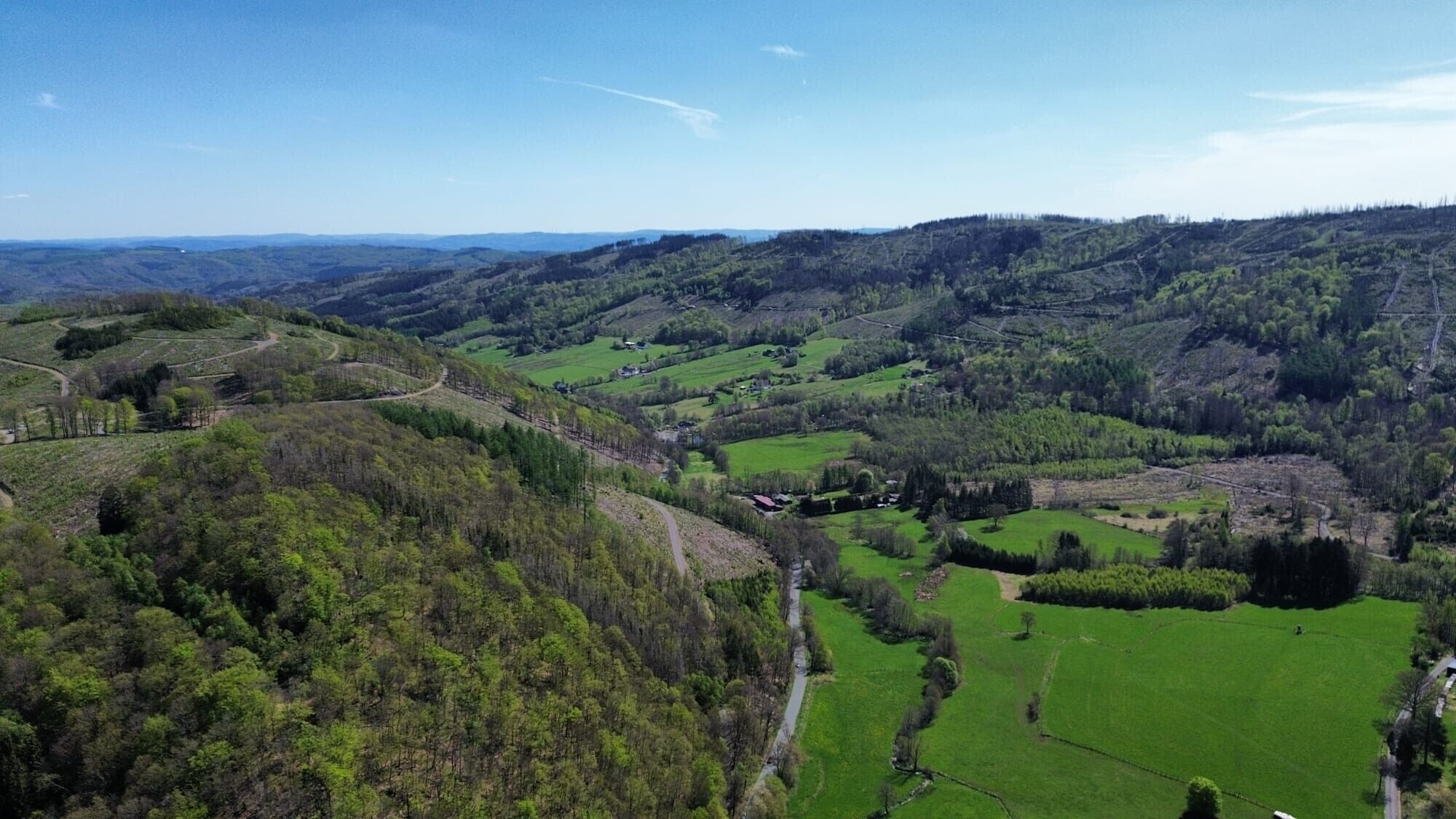 Een landelijk landschap met glooiende heuvels, groene velden en verspreide bomen.