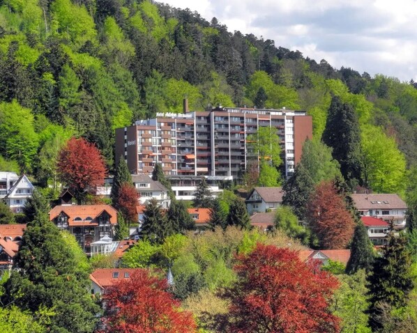 Udendørsområde