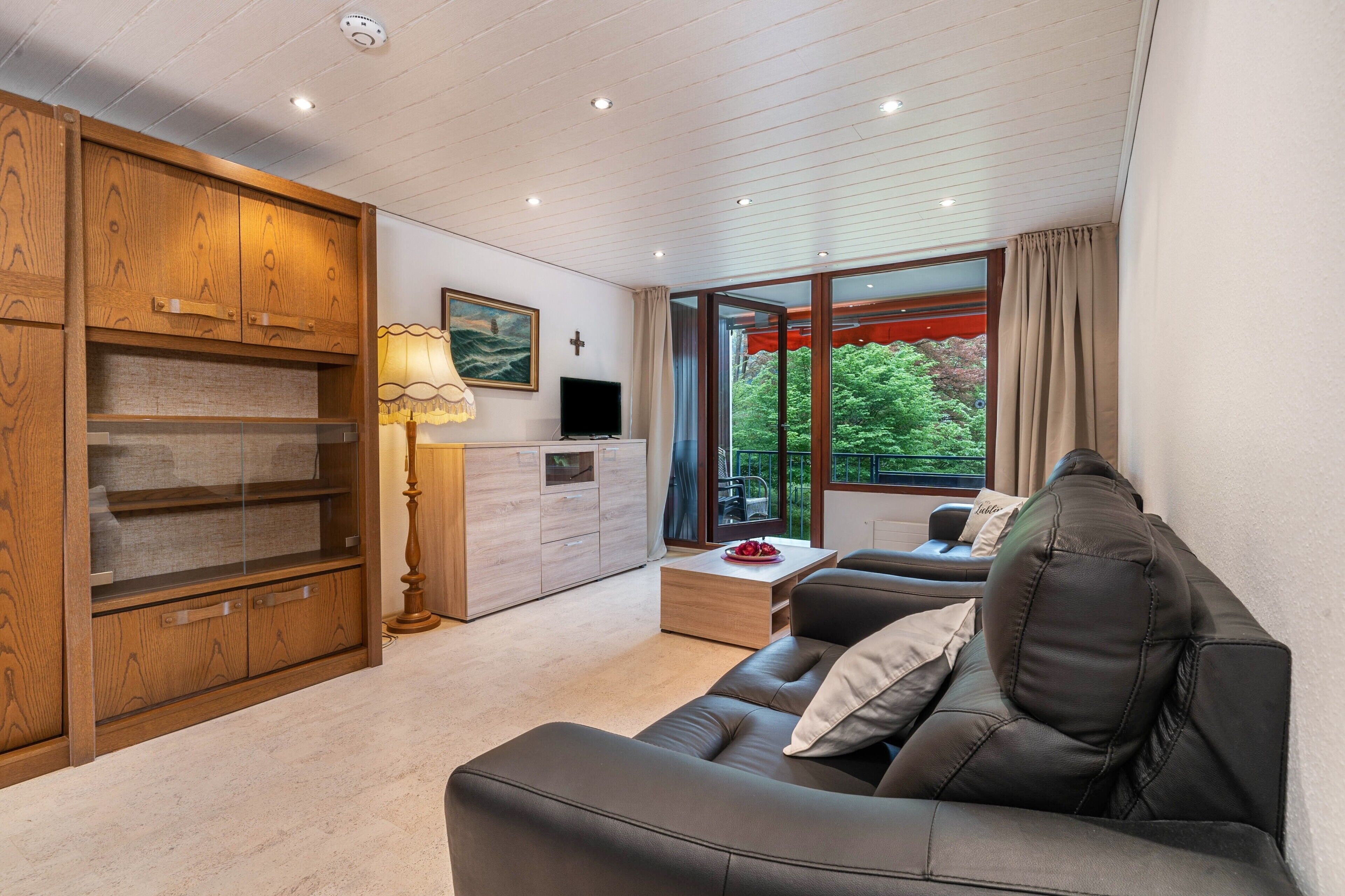 Télévision, table de tennis de table