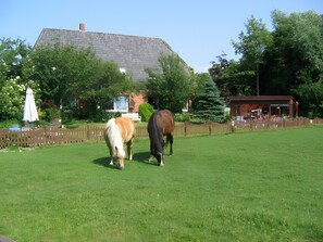 Boendeområde
