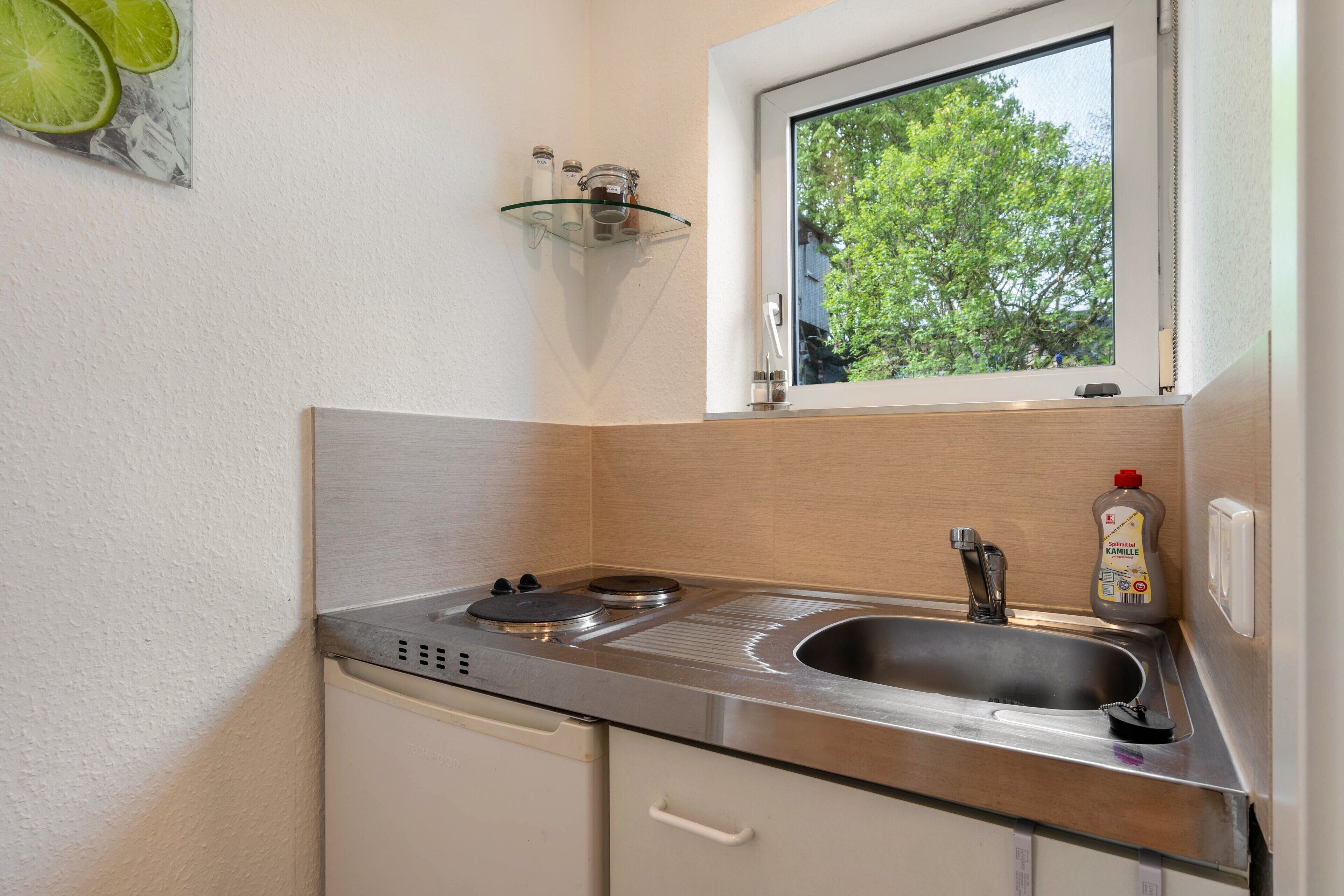 A compact kitchen with a stainless steel sink, a window with a view of trees, and a lime-themed wall decoration.