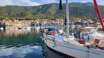 House, 3 Bedrooms, City View | Marina