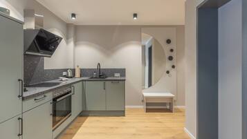 Fridge, oven, stovetop, dishwasher