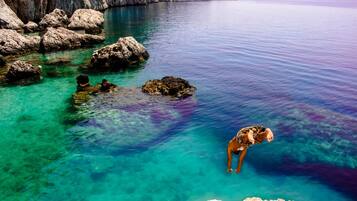 House, 3 Bedrooms | Exterior