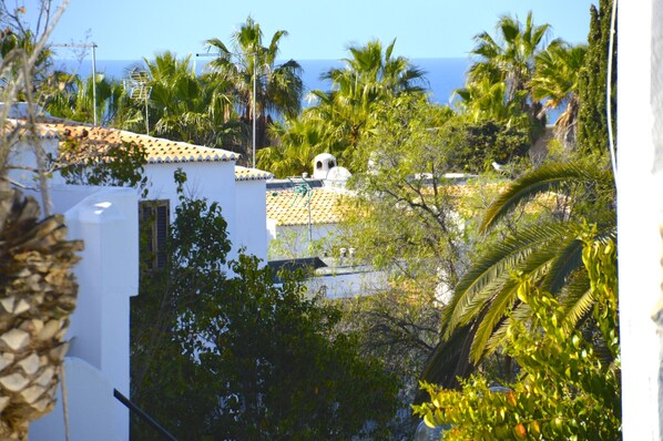 A coastal view with palm trees, a white building with a tiled roof, and a clear blue sky.