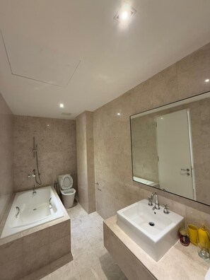 Hair dryer, towels, soap, toilet paper