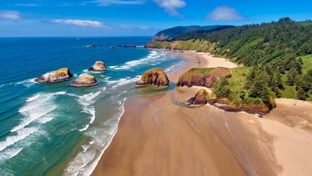 Paisagem costeira com uma praia arenosa, afloramentos rochosos e um morro coberto de árvores.