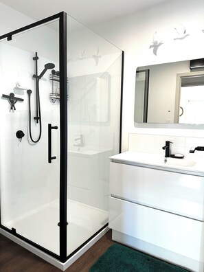 Ducha, secador de pelo, toallas, jabón