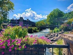Un río con un puente de madera, rodeado de exuberante follaje y flores moradas.
