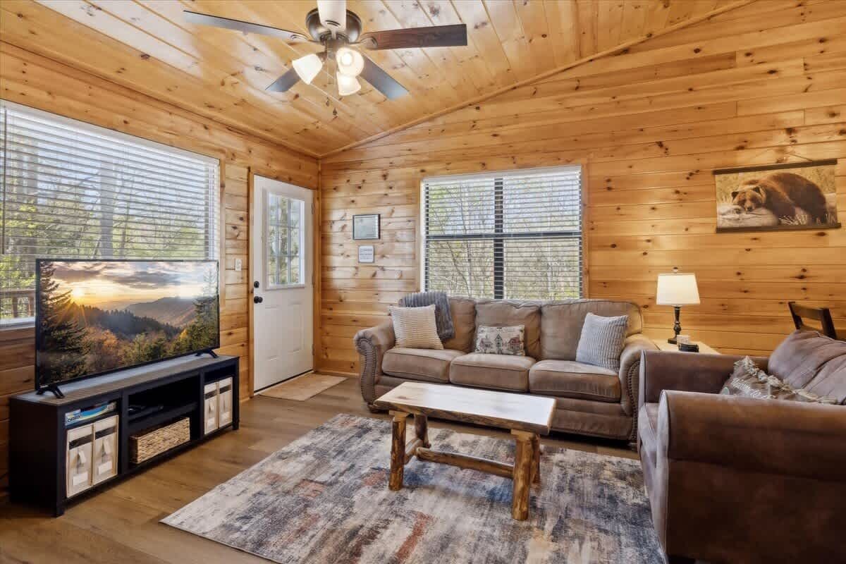 Televisión, chimenea y videojuegos 