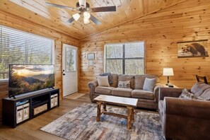 TV, fireplace, video games