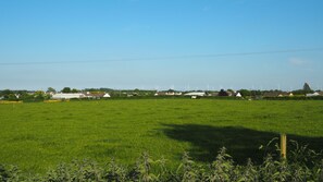 House | Miscellaneous