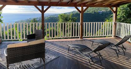 Nid bleu in Schoelcher: calm, escape, sea view, nature, beaches and amenities