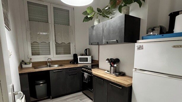 Cocina compacta con microondas, estufa, pileta y una planta colgante.