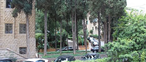 Facciata della struttura