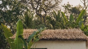 Un pequeño edificio con techo de paja y puerta verde, con el letrero 'Nilaveli Boutique Hotel' en la pared.