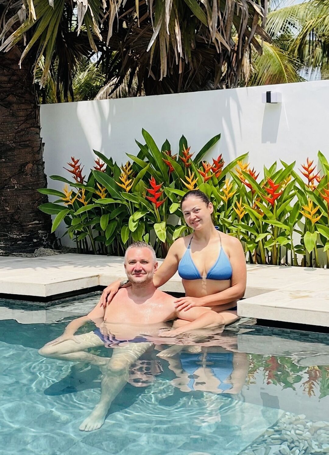 A swimming pool with a tropical plant backdrop.