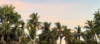 Nilaveli Boutique Hotel 