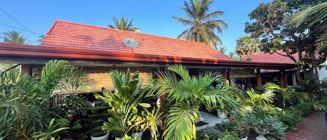 A house with a red tiled roof, surrounded by various potted plants and a paved pathway.