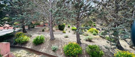 Terrain de lâhĂ©bergement