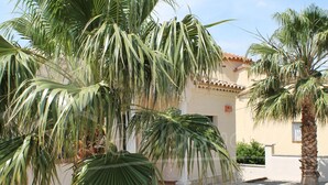 A courtyard with palm trees, a tiled patio, and a building with a tiled roof.