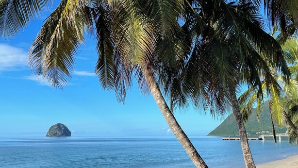 A beach with palm trees, clear blue water, and a distant island. - Villa ATOLA with swimming pool 800m from Le Diamant beach in Martinique. (Le Diamant)