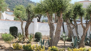 Un jardín con diversas plantas y árboles, un muro de piedra y un edificio con fachada blanca y tejado rojo al fondo.