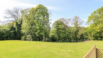 A grassy field with a wooden fence and trees in the background.