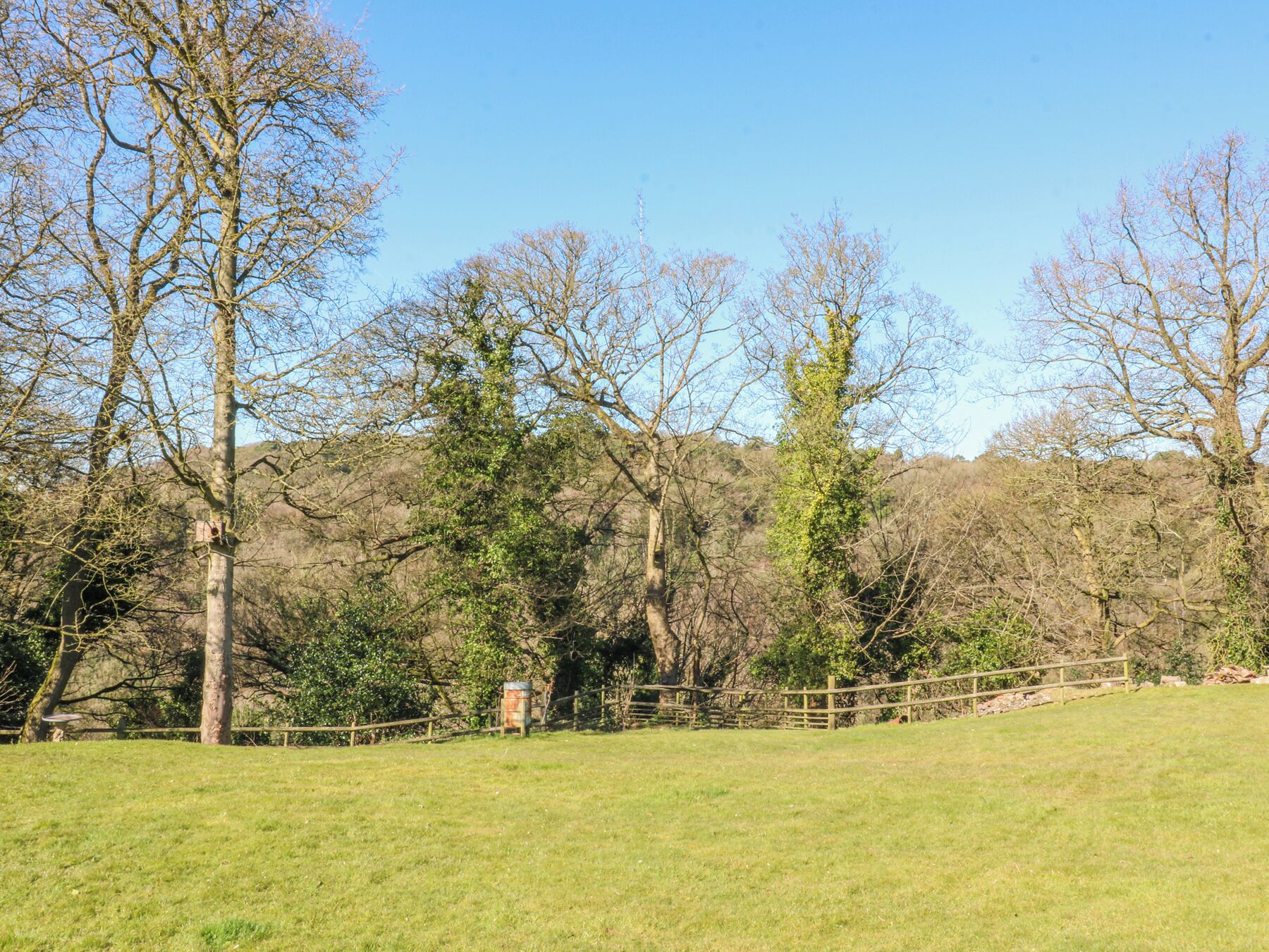A grassy field with a wooden fence and trees.