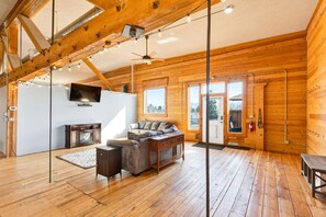 Smart TV, fireplace, books