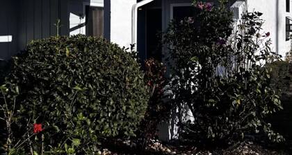 Stylish Apt Near Lego/DisneyLand
2-bedroom condo in beautiful Poinciana Florida
