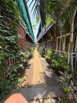 Exterior - The Leisure Cave Arambol Goa (Arambol)