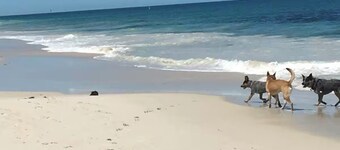 Quinns Summer Beach House