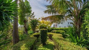 Ein gepflegter Garten mit verschiedenen Pflanzen und einer ordentlich geschnittenen Hecke.