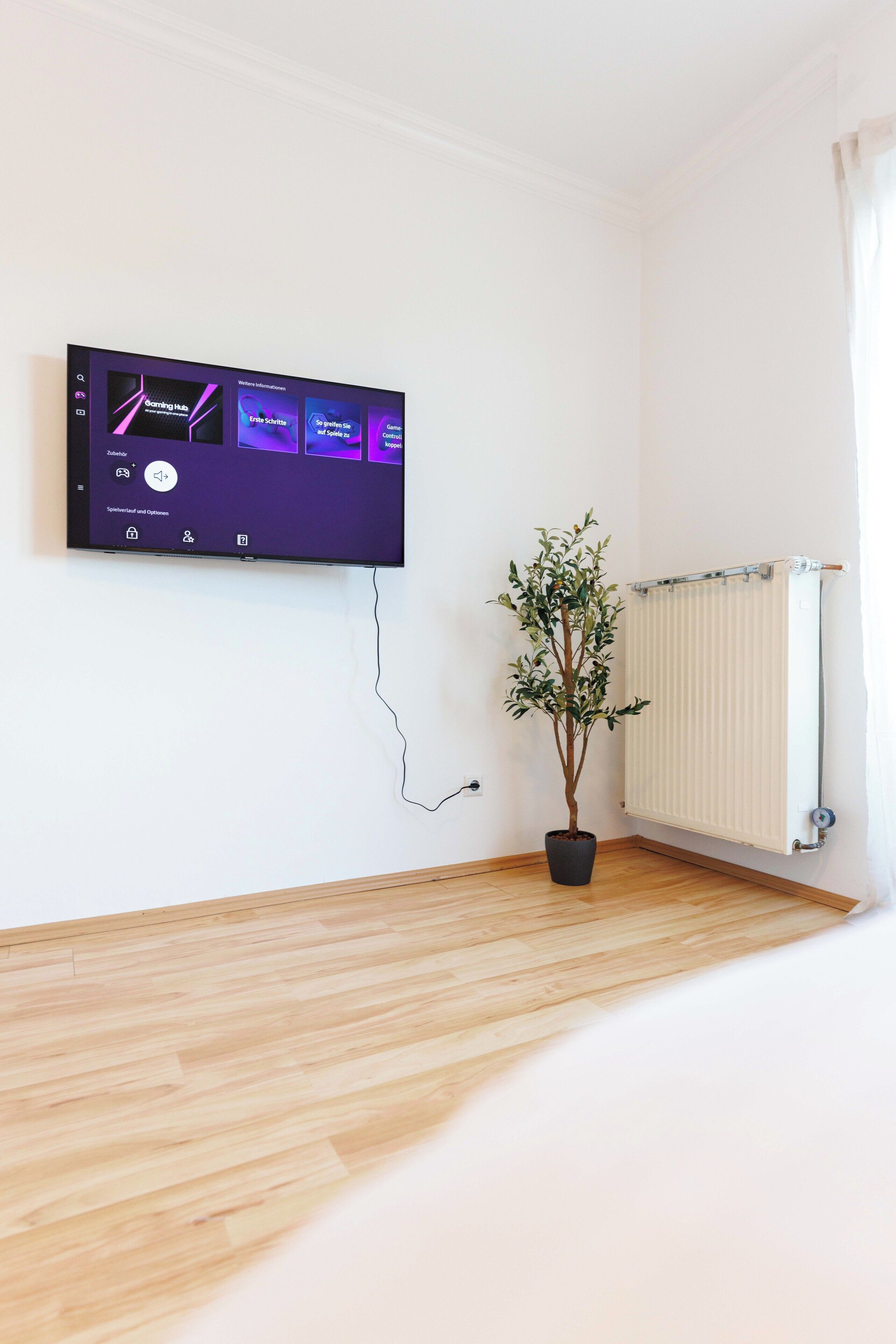 A room with a flat-screen TV mounted on the wall, a potted plant, and a radiator.