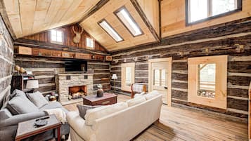 Smart TV, lareira, livros