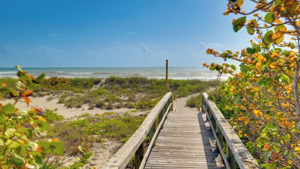 A wooden boardwalk leading to a beach with sand dunes and sparse vegetation.