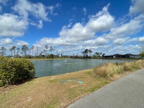 Property grounds - Charming home w/spacious kitchen, water view, enclosed lanai, & Pet Friendly (The Villages)