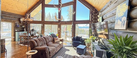 Télévision, cheminée, lecteur de DVD, espaces bureaux