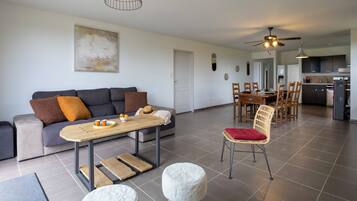 Télévision, cheminée, livres