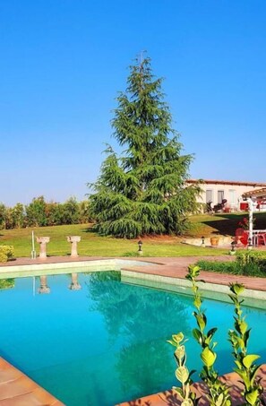 A swimming pool with a large tree in the background, a patio area with chairs, and a building with a red roof. - Villa Avra - Private Garden & Pool Oasis in Drama (Drama)