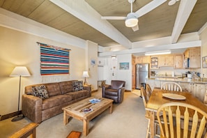 TV, fireplace - 2BR/2BA Ski-In/Ski-Out Condo w/ Epic Mt Views! (Steamboat Springs)
