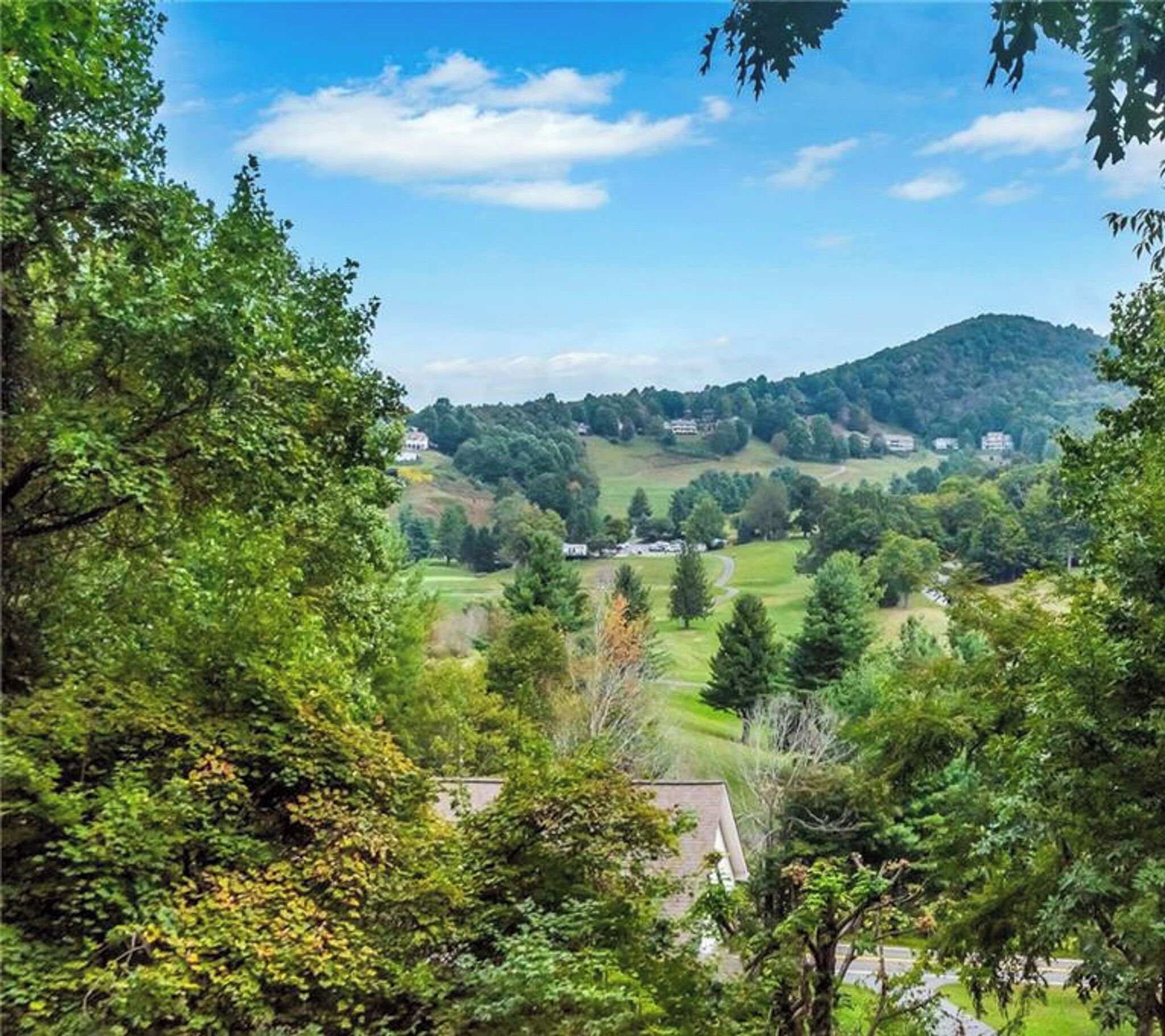 A lush green landscape with a hill in the background, trees, and a road leading into the distance.